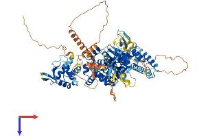 AlphaFold protein structure predicition of Mouse Recombinant Rapgef5 Protein, UniprotID Q8C0Q9