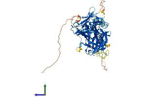 AlphaFold protein structure predicition of Human Recombinant RBPJL Protein, UniprotID Q9UBG7