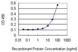 Detection limit for recombinant GST tagged ELK4 is 3 ng/ml as a capture antibody. (ELK4 anticorps  (AA 118-206))