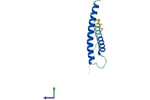 AlphaFold protein structure predicition of Human Recombinant TIMM13 Protein, UniprotID Q9Y5L4