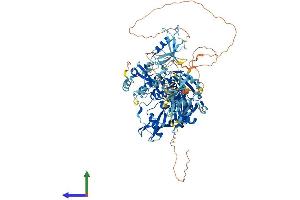 AlphaFold protein structure predicition of Human Recombinant USP4 Protein, UniprotID Q13107