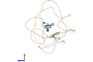 AlphaFold protein structure predicition of Mouse Recombinant Cbx2 Protein, UniprotID P30658