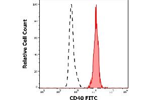 Separation of human CD40 positive lymphocytes (red-filled) from neutrophil granulocytes (black-dashed) in flow cytometry analysis (surface staining) of human peripheral whole blood stained using anti-human CD40 (HI40a) FITC antibody (20 μL reagent / 100 μL of peripheral whole blood). (CD40 anticorps  (FITC))