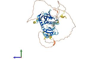 AlphaFold protein structure predicition of Mouse Recombinant Shc3 Protein, UniprotID Q61120