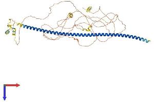 AlphaFold protein structure predicition of Human Recombinant BEGAIN Protein, UniprotID Q9BUH8