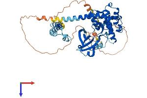 AlphaFold protein structure predicition of Mouse Recombinant Stk3 Protein, UniprotID Q9JI10
