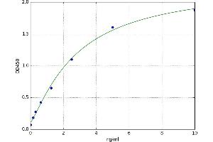 A typical standard curve (UGT1A1 Kit ELISA)