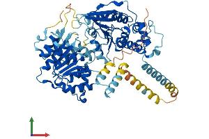 AlphaFold protein structure predicition of Mouse Recombinant Ddx55 Protein, UniprotID Q6ZPL9