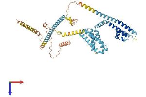 AlphaFold protein structure predicition of Human Recombinant CATSPER4 Protein, UniprotID Q7RTX7