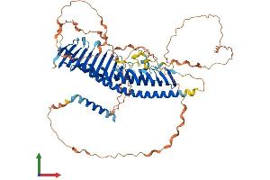 AlphaFold protein structure predicition of Human Recombinant JPH4 Protein, UniprotID Q96JJ6