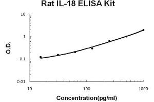 Rat IL-18 Accusignal ELISA Kit Rat IL-18 AccuSignal ELISA Kit standard curve. (IL-18 Kit ELISA)