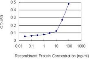 Detection limit for recombinant GST tagged LMNB1 is 3 ng/ml as a capture antibody.