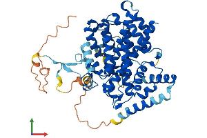 AlphaFold protein structure predicition of Human Recombinant SESN1 Protein, UniprotID Q9Y6P5