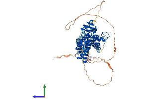 AlphaFold protein structure predicition of Mouse Recombinant Rorc Protein, UniprotID P51450