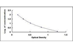 ELISA image for Peptide YY (PYY) ELISA Kit (ABIN424595)