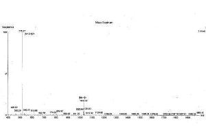 Parathyroid Hormone (PTH) peptide (Ovalbumin)
