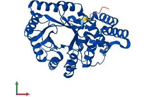 AlphaFold protein structure predicition of Human Recombinant AKR7A3 Protein, UniprotID O95154