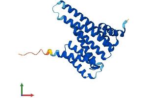 AlphaFold protein structure predicition of Human Recombinant YWHAB Protein, UniprotID P31946