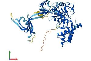 AlphaFold protein structure predicition of Human Recombinant RUVBL1 Protein, UniprotID Q9Y265