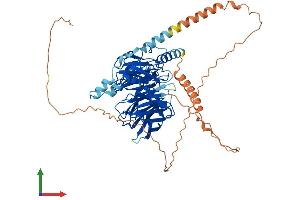 AlphaFold protein structure predicition of Human Recombinant DCAF8 Protein, UniprotID Q5TAQ9