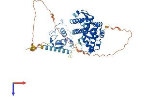 AlphaFold protein structure predicition of Human Recombinant NR5A1 Protein, UniprotID Q13285