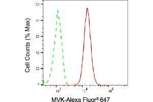 Flow cytometric analysis of MVK expression in HT- cells using MVK antibody (ABIN7799401), 1:2,000). (Recombinant MVK anticorps)