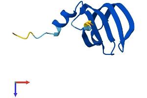 AlphaFold protein structure predicition of Mouse Recombinant Lsm6 Protein, UniprotID P62313