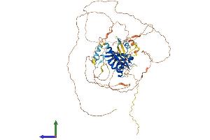 AlphaFold protein structure predicition of Mouse Recombinant Ahrr Protein, UniprotID Q3U1U7