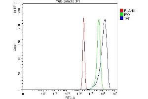 Flow Cytometry analysis of K562 cells using anti-TPI1 antibody (ABIN7599216). (TPI1 anticorps  (AA 1-286))