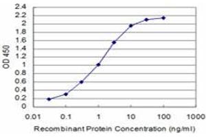 Detection limit for recombinant GST tagged SIX4 is approximately 0. (SIX4 anticorps  (AA 672-780))