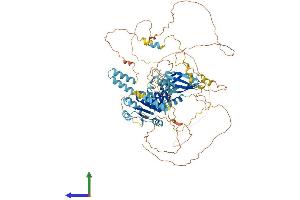 AlphaFold protein structure predicition of Mouse Recombinant Bank1 Protein, UniprotID Q80VH0