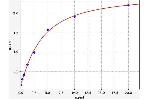 Typical standard curve (P4HA1 Kit ELISA)