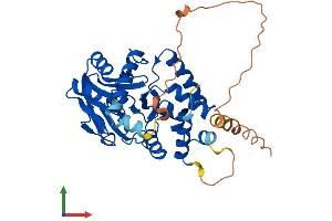 AlphaFold protein structure predicition of Mouse Recombinant Pnkd Protein, UniprotID Q69ZP3