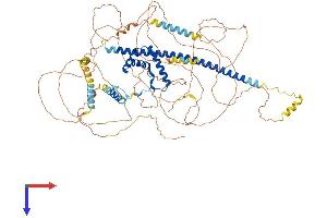 AlphaFold protein structure predicition of Human Recombinant SOX6 Protein, UniprotID P35712