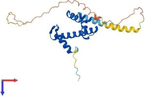 AlphaFold protein structure predicition of Mouse Recombinant Taf11 Protein, UniprotID Q99JX1