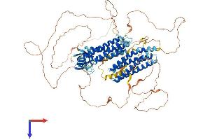 AlphaFold protein structure predicition of Mouse Recombinant Nedd9 Protein, UniprotID O35177