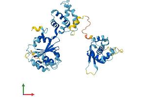 AlphaFold protein structure predicition of Human Recombinant ORC5 Protein, UniprotID O43913