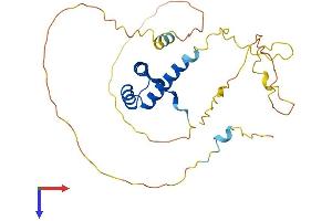 AlphaFold protein structure predicition of Mouse Recombinant Nkx2-2 Protein, UniprotID P42586