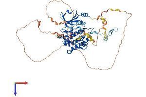 AlphaFold protein structure predicition of Human Recombinant PAK4 Protein, UniprotID O96013