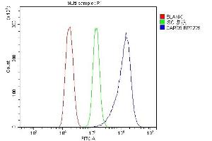 Flow Cytometry analysis of HEPA1-6 cells using anti-CARD9 antibody (ABIN7599386). (CARD9 anticorps  (AA 1-429))