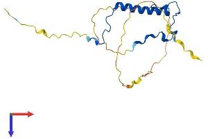 AlphaFold protein structure predicition of Mouse Recombinant Cdkn1b Protein, UniprotID P46414