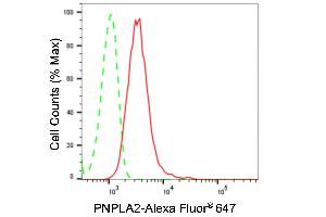 anti-Patatin-Like phospholipase Domain Containing 2 (PNPLA2) antibody