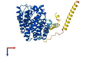AlphaFold protein structure predicition of Mouse Recombinant Fdft1 Protein, UniprotID P53798