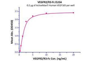 Immobilized  Human VEGF165  at 2 μg/mL can bind VEGFR2/R3-Fc with a linear range of 0. (VEGF Protein (AA 27-191))