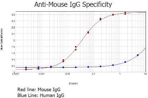 ELISA results of purified Rabbit anti-Mouse IgG Antibody (min x Human Serum Proteins) tested against purified Mouse IgG. (Lapin anti-Souris IgG (Heavy & Light Chain) Anticorps - Preadsorbed)