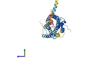AlphaFold protein structure predicition of Human Recombinant CCR6 Protein, UniprotID P51684