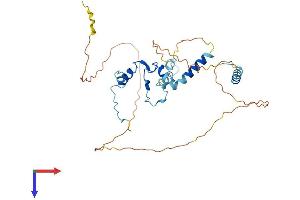 AlphaFold protein structure predicition of Mouse Recombinant Pinx1 Protein, UniprotID Q9CZX5