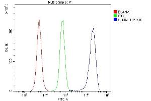 Flow Cytometry analysis of RAW264. (Stathmin 1 anticorps  (N-Term))