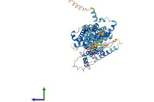 AlphaFold protein structure predicition of Mouse Recombinant Slc26a7 Protein, UniprotID Q8R2Z3