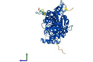AlphaFold protein structure predicition of Mouse Recombinant Nampt Protein, UniprotID Q99KQ4